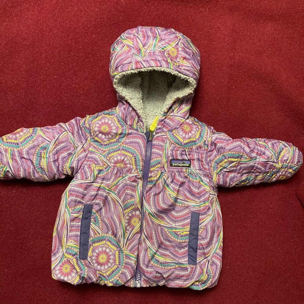 Reversible Patagonia Parka